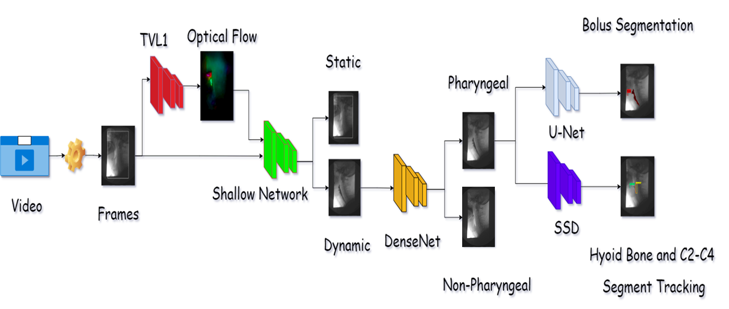 Interactive Shape Modeling